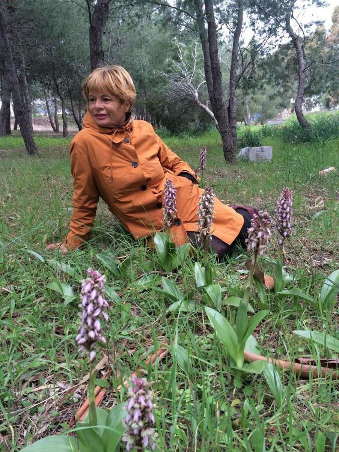 Orchidea Mattinata Parco Del Gargano Apartman Kültér fotó